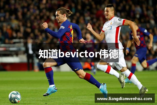 知道bevictor伟德
